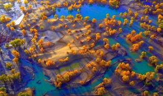 音乐旅行啦啦啦 音乐旅行啦啦啦