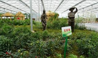 职业技术培训学校