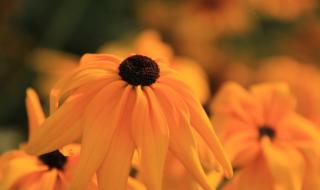 学摄影有前途吗 学摄影有前途吗