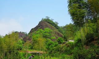 武夷山自助旅游攻略