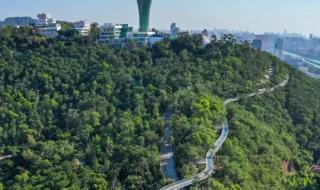 厦门旅游年卡办理