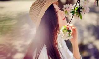 平平淡淡才是福 平平淡淡才是福