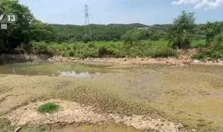 长江流域发生严重旱情 长江流域发生严重旱情