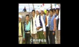 五朵金花插曲 五朵金花插曲