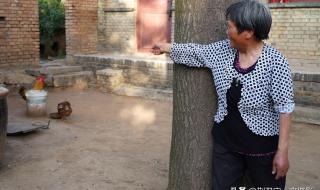 山西重新划分是真的吗 山西重新划分是真的吗