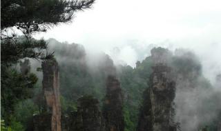 张家界自由行导游