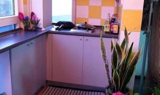 带生活阳台的厨房图片 带生活阳台的厨房图片