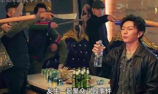 都市至尊豪婿电视剧