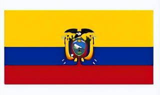 卡塔尔厄瓜多尔预测